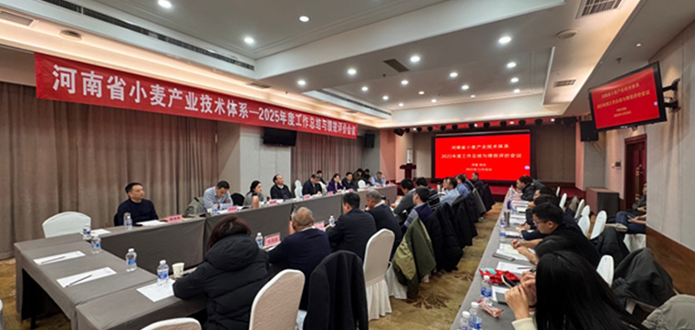 河南省小麦产业体系2025年度工作总结与绩效评价会顺利召开