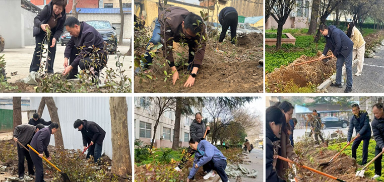 春风催新绿，植树正当时——同位素所公司开展植树节活动