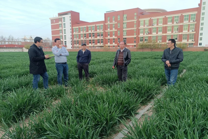 河南大学国家重点实验室专家 到同位素所小麦育种基地交流指导工作