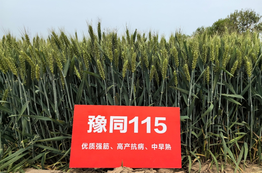 c19f426a-56a9-48ca-9bc4-59fb63f0b95f.png